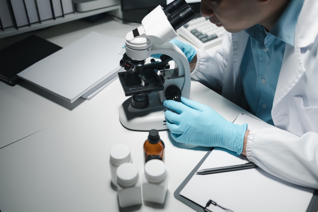 293TN Producer Cell Line   