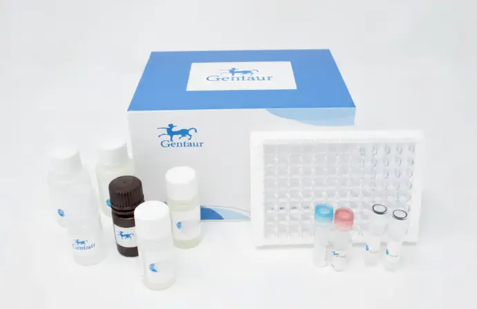 Amplite® Fluorimetric Total NAD and NADH Assay Kit *Red Fluorescence* - 400 Tests
