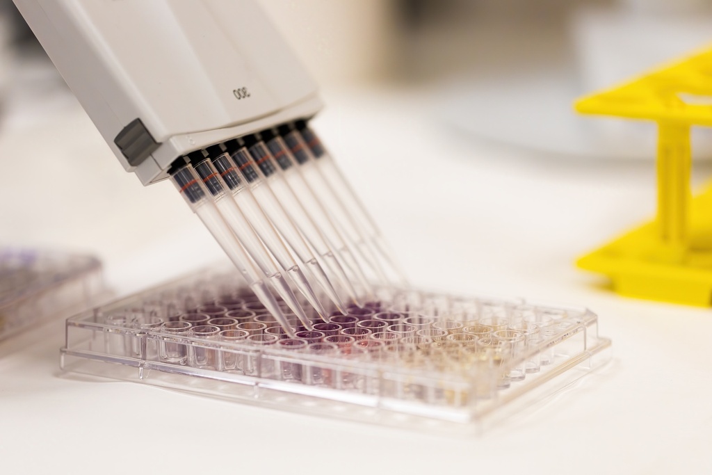 384-well NX PCR Plate, Blue 50 plates